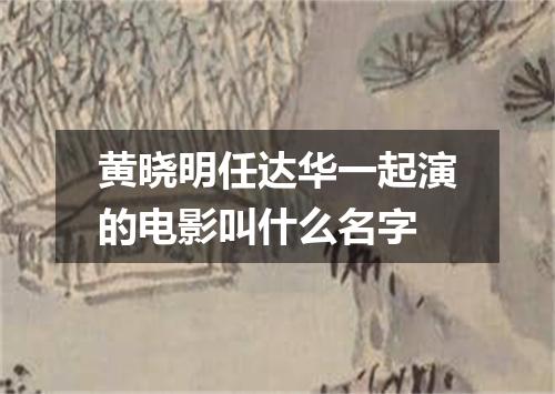 黄晓明任达华一起演的电影叫什么名字