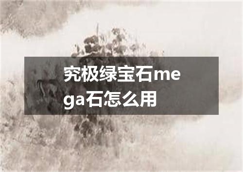 究极绿宝石mega石怎么用