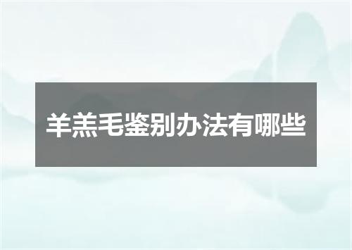 羊羔毛鉴别办法有哪些