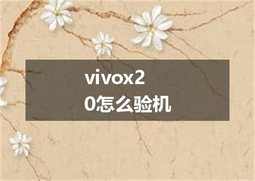 vivox20怎么验机