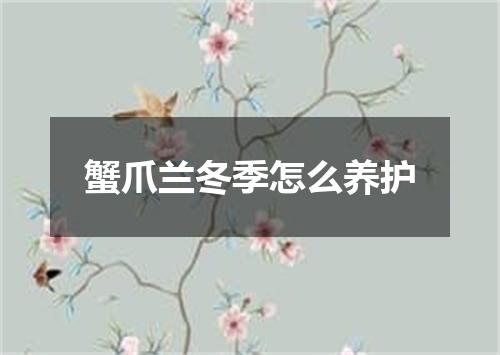 蟹爪兰冬季怎么养护