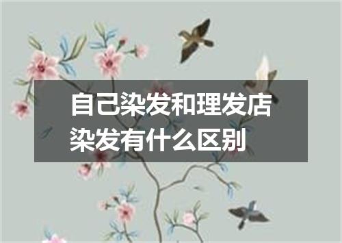 自己染发和理发店染发有什么区别