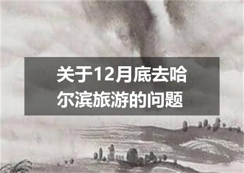 关于12月底去哈尔滨旅游的问题