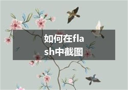 如何在flash中截图