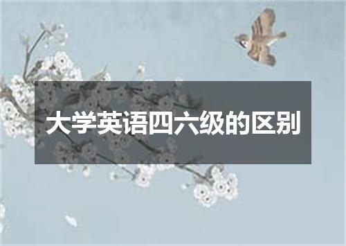 大学英语四六级的区别
