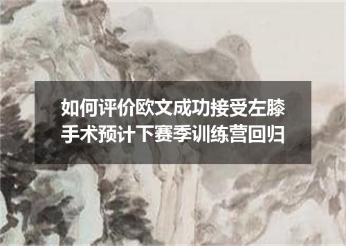 如何评价欧文成功接受左膝手术预计下赛季训练营回归