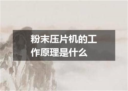 粉末压片机的工作原理是什么