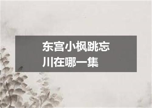 东宫小枫跳忘川在哪一集