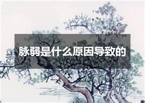 脉弱是什么原因导致的