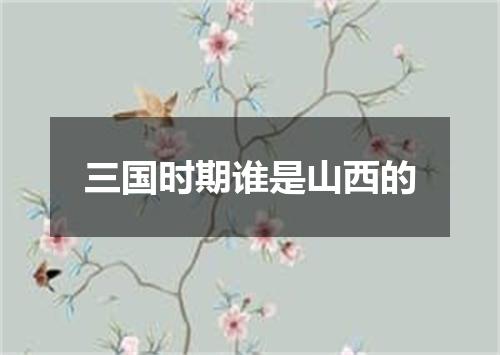 三国时期谁是山西的