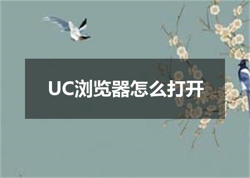 UC浏览器怎么打开