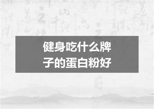 健身吃什么牌子的蛋白粉好
