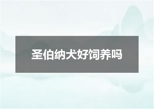 圣伯纳犬好饲养吗