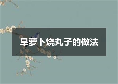 旱萝卜烧丸子的做法