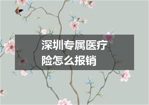 深圳专属医疗险怎么报销