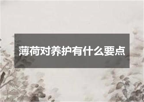 薄荷对养护有什么要点