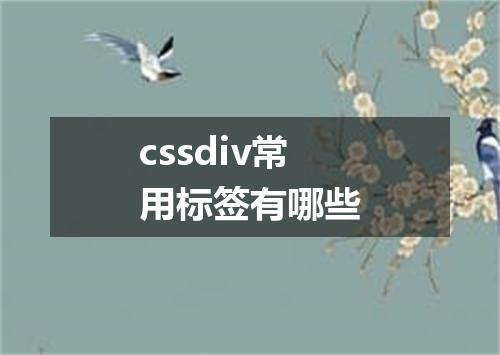 cssdiv常用标签有哪些