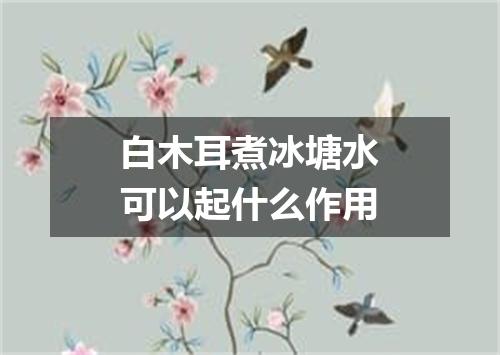白木耳煮冰塘水可以起什么作用