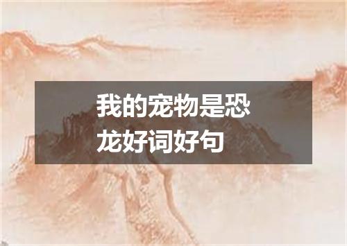 我的宠物是恐龙好词好句