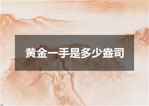 黄金一手是多少盎司