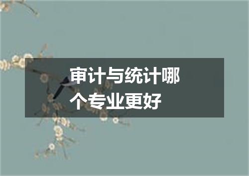 审计与统计哪个专业更好