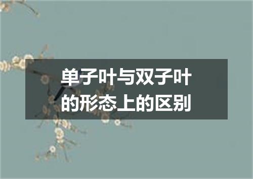 单子叶与双子叶的形态上的区别