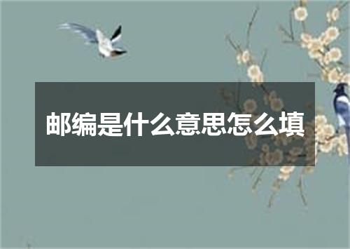 邮编是什么意思怎么填