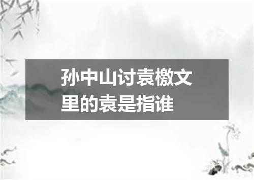 孙中山讨袁檄文里的袁是指谁