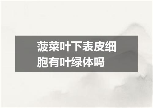 菠菜叶下表皮细胞有叶绿体吗