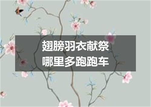 翅膀羽衣献祭哪里多跑跑车