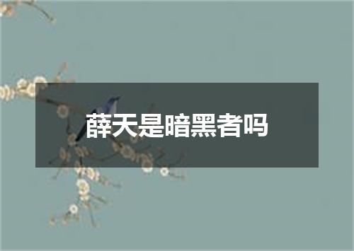 薛天是暗黑者吗