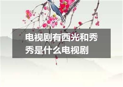 电视剧有西光和秀秀是什么电视剧