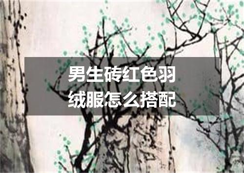 男生砖红色羽绒服怎么搭配