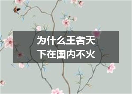 为什么王者天下在国内不火