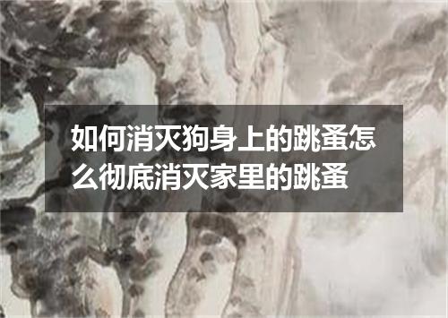 如何消灭狗身上的跳蚤怎么彻底消灭家里的跳蚤