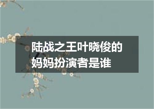 陆战之王叶晓俊的妈妈扮演者是谁