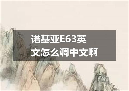 诺基亚E63英文怎么调中文啊