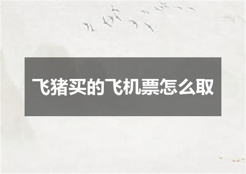 飞猪买的飞机票怎么取