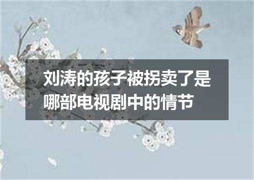 刘涛的孩子被拐卖了是哪部电视剧中的情节