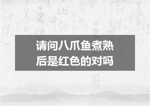 请问八爪鱼煮熟后是红色的对吗