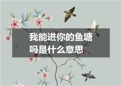 我能进你的鱼塘吗是什么意思
