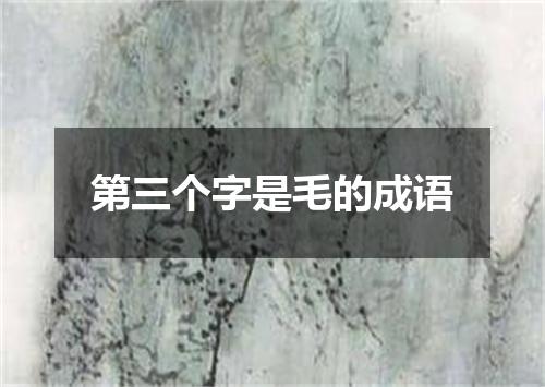第三个字是毛的成语