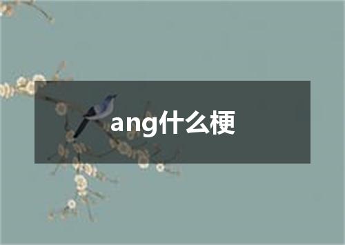 ang什么梗