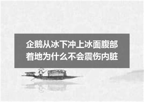 企鹅从冰下冲上冰面腹部着地为什么不会震伤内脏