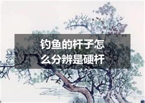 钓鱼的杆子怎么分辨是硬杆