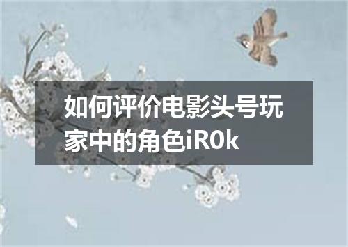 如何评价电影头号玩家中的角色iR0k