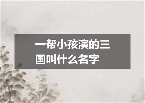 一帮小孩演的三国叫什么名字