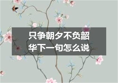 只争朝夕不负韶华下一句怎么说