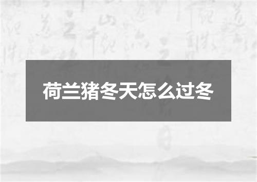 荷兰猪冬天怎么过冬