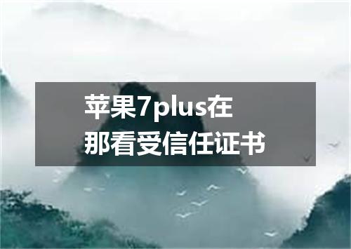 苹果7plus在那看受信任证书